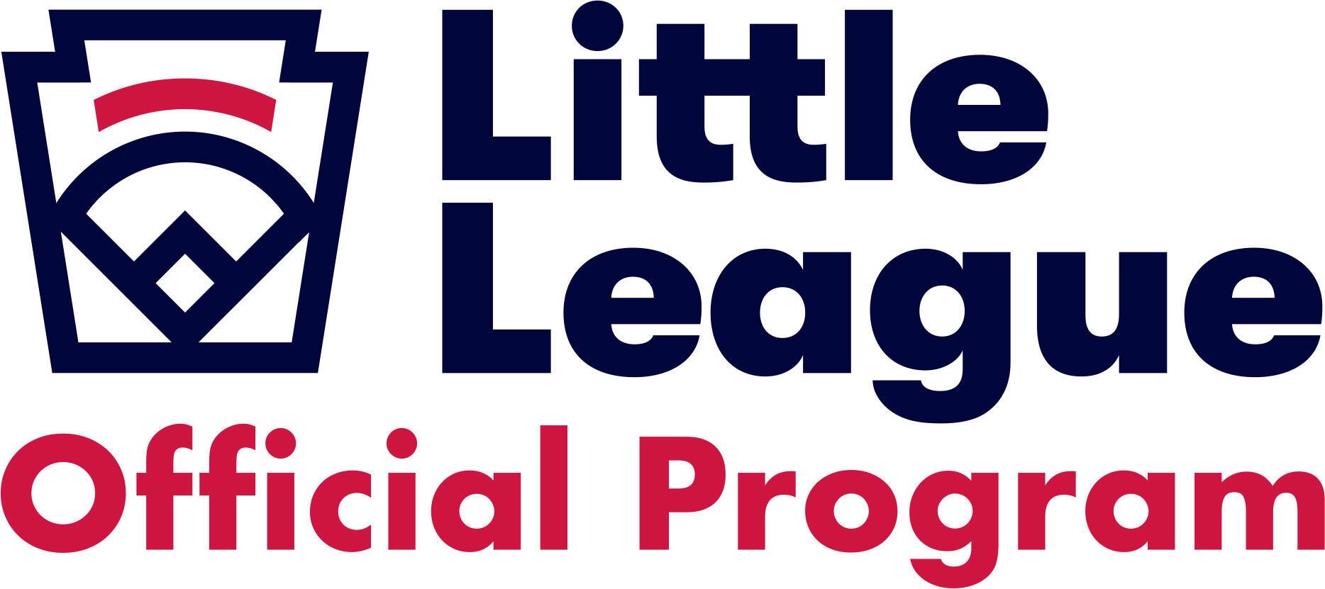 Little League Bat Information